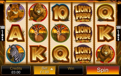 Lions Pride Touch Screenshot